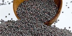 Black Mustard Seeds