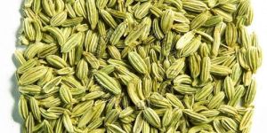 Fennel Seeds
