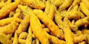 Turmeric Finger