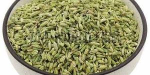 a Grade Fennel Seeds