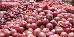 a Grade Fresh Red Onion