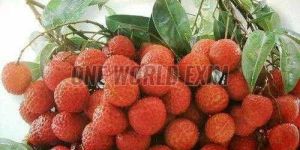 A Grade Lichi Fruit