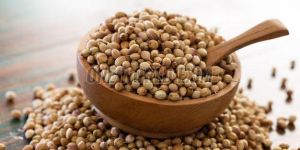 A Grade Whole Coriander Seed