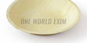 Biodegradable Areca Leaf Bowl