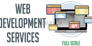 Business Web Development Service