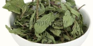 Dehydrated Mint Leaf