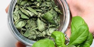 Dried Basil Leaves