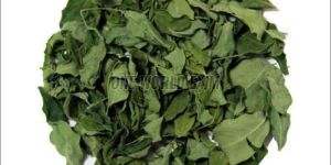 Dried Moringa Leaves
