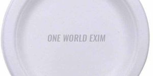 Sugarcane Bagasse Plates