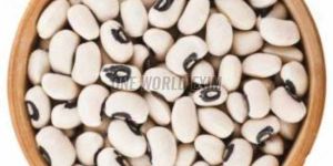 White Kidney Beans