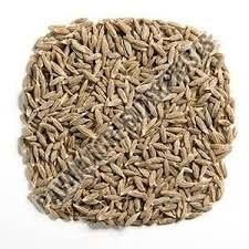 Cumin Seed