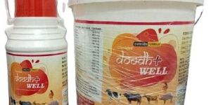 Doodhwell Cattle Feed Calcium Supplement