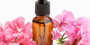 Geranium Oil