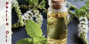 Mentha Piperita Oil