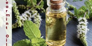 Mentha Spearmint Oil