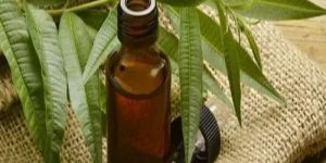 Tea Tree Oil
