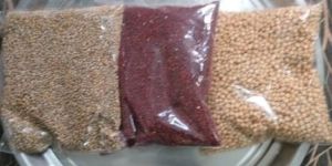 Finger Millet