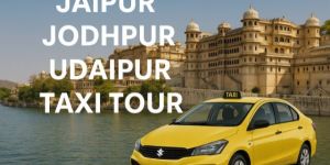 Udaipur Tour Services