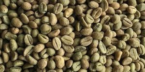 B Grade Robusta Cherry Coffee Beans