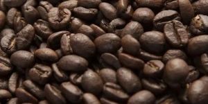 B Grade Robusta Roasted Coffee Beans