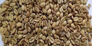 C Grade Robusta Cherry Coffee Beans