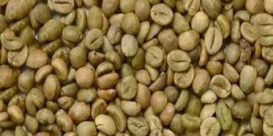 C Grade Washed Robusta Coffee Beans
