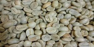 Pb Grade Washed Arabica Coffee Beans