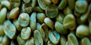 PB Grade Washed Robusta Coffee Beans