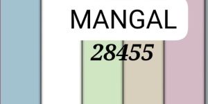 Mens Plain Cotton Laffer Shirting Fabric