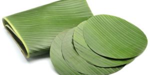 Fresh Banana Leaves