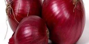 Fresh Natural Red Onion