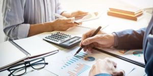 Financial Audit Support Services