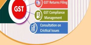 GST Registration & Return Filing Service