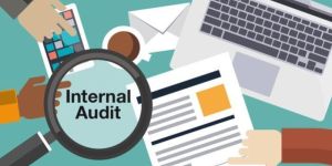 Internal Audit Services