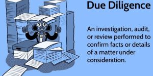 Investment Due Diligence Services
