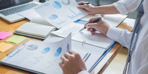 Statutory Auditing Services