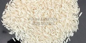 1509 Pusa Basmati Rice