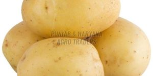 Brown a Grade Fresh Potato