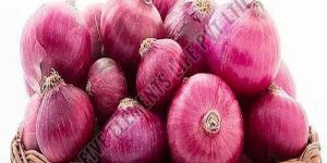 a Grade Fresh Pink Onion