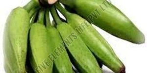 A Grade Green Raw Banana