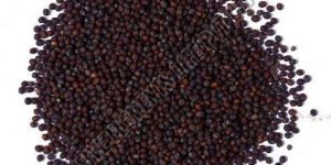 Brown Mustard Seeds