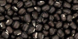 Whole Black Urad Dal