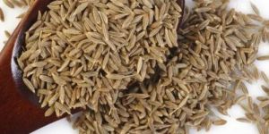 Cumin Seeds