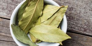 Dry Bay Leaf