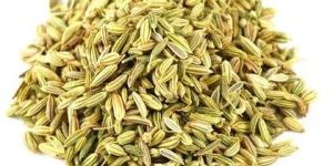Fennel Seeds
