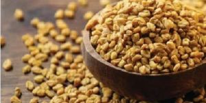Fenugreek Seeds