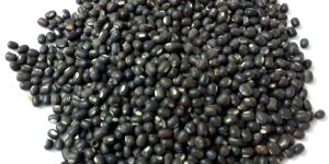 Indian Urad Dal