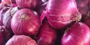 Fresh Red Onion