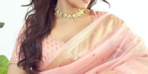 Pastel Peach Banarasi Handloom Kora Silk Saree