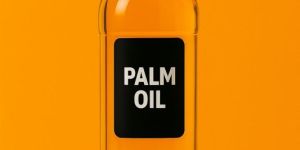 Refined Palm Oil